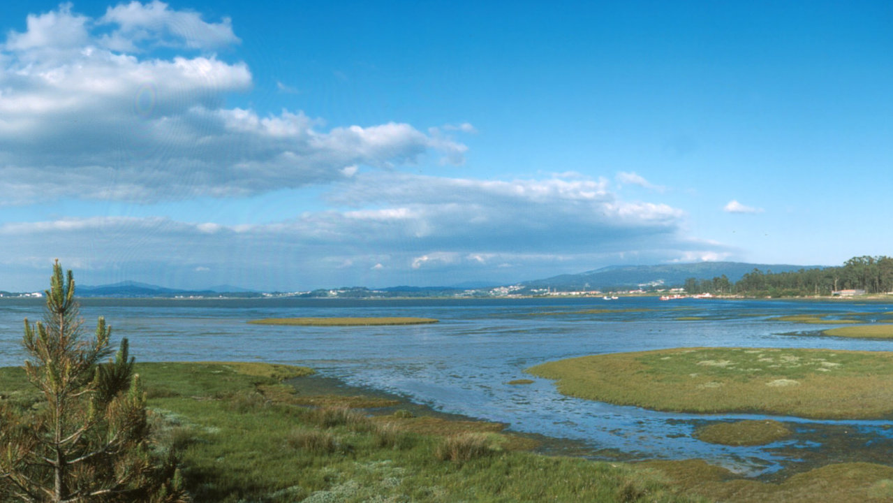 Ensenada arousana de O Bao. DS