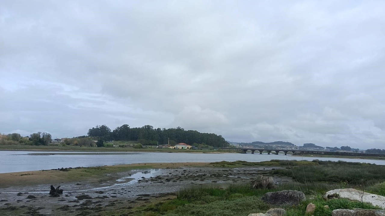 Zona de A Barca en Cambados donde se va a actuar. DS