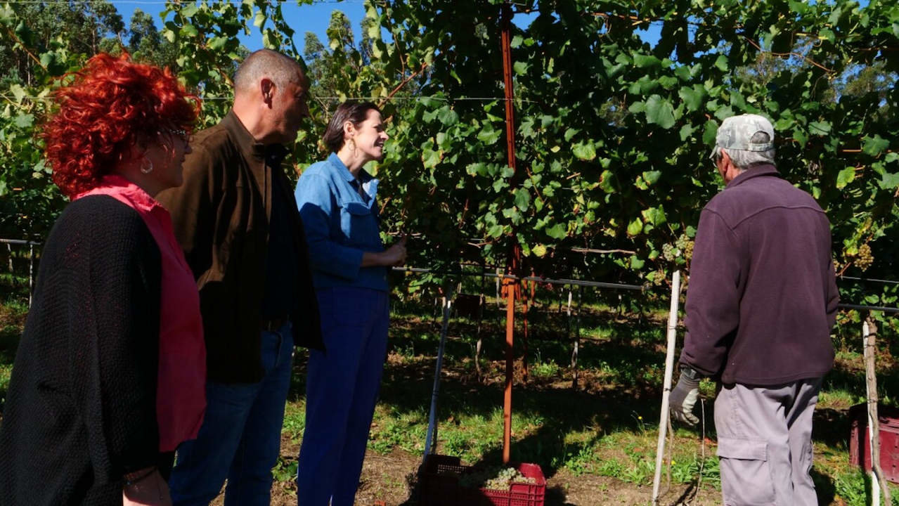 Visita de Ana Pontón a Bodegas Martín Códax en Cambados. BNG